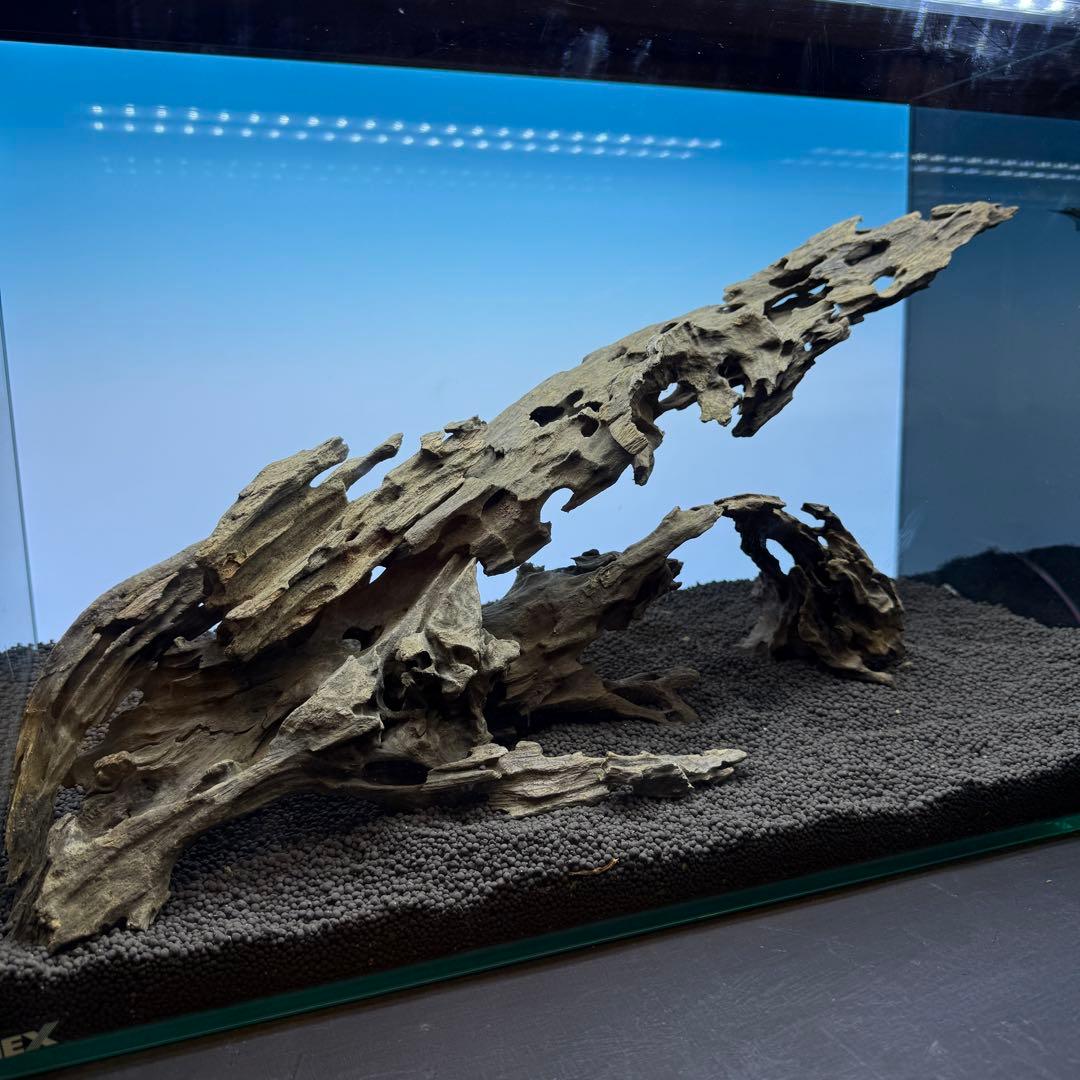 MMW-6631 マシンガンウッドレイアウトセット　60cm水槽用　流木