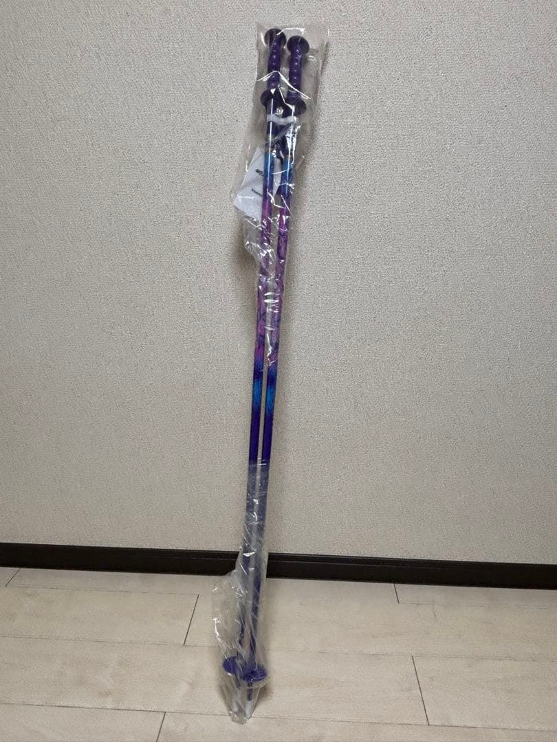 Völkl r1 スキー 159cm ポール付き