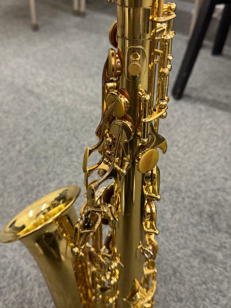 Yanagisawa ヤナギサワ A-WO10 アルトサックス