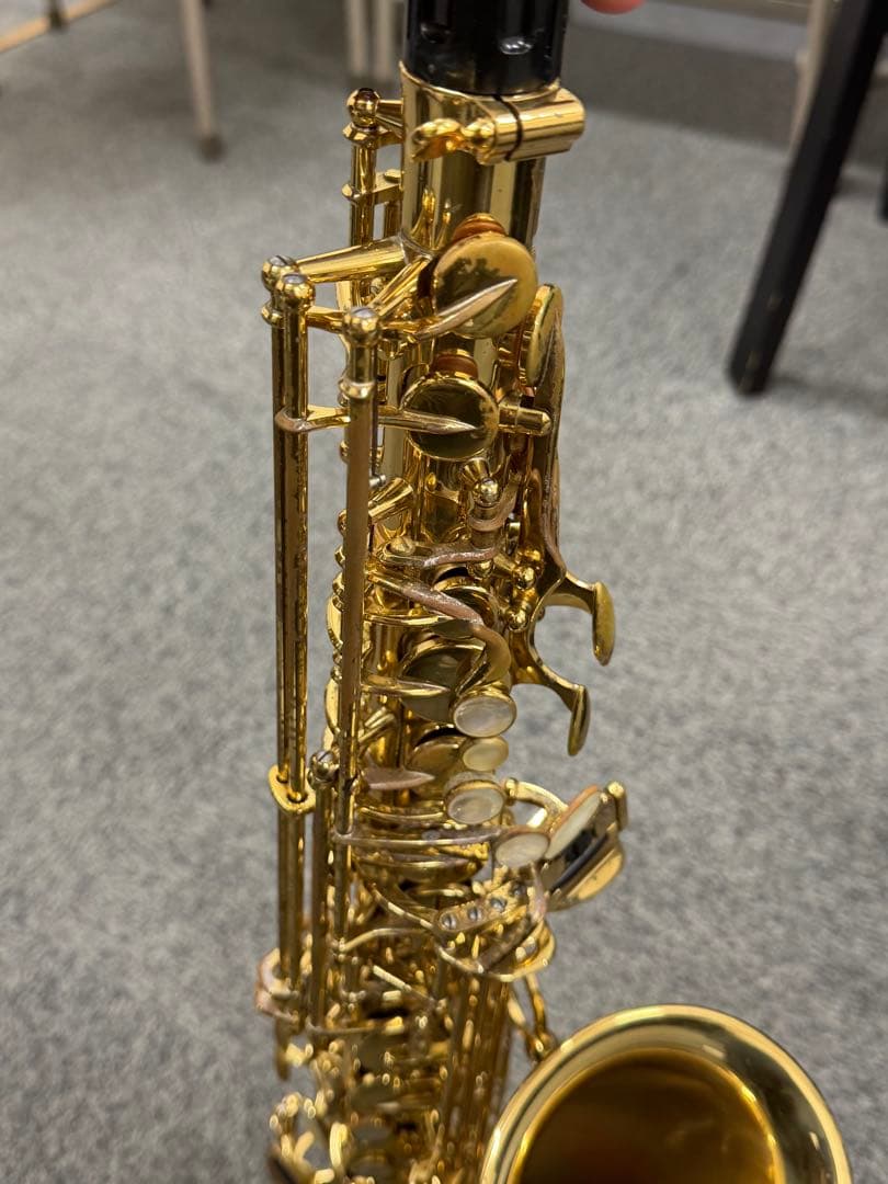 Yanagisawa ヤナギサワ A-WO10 アルトサックス