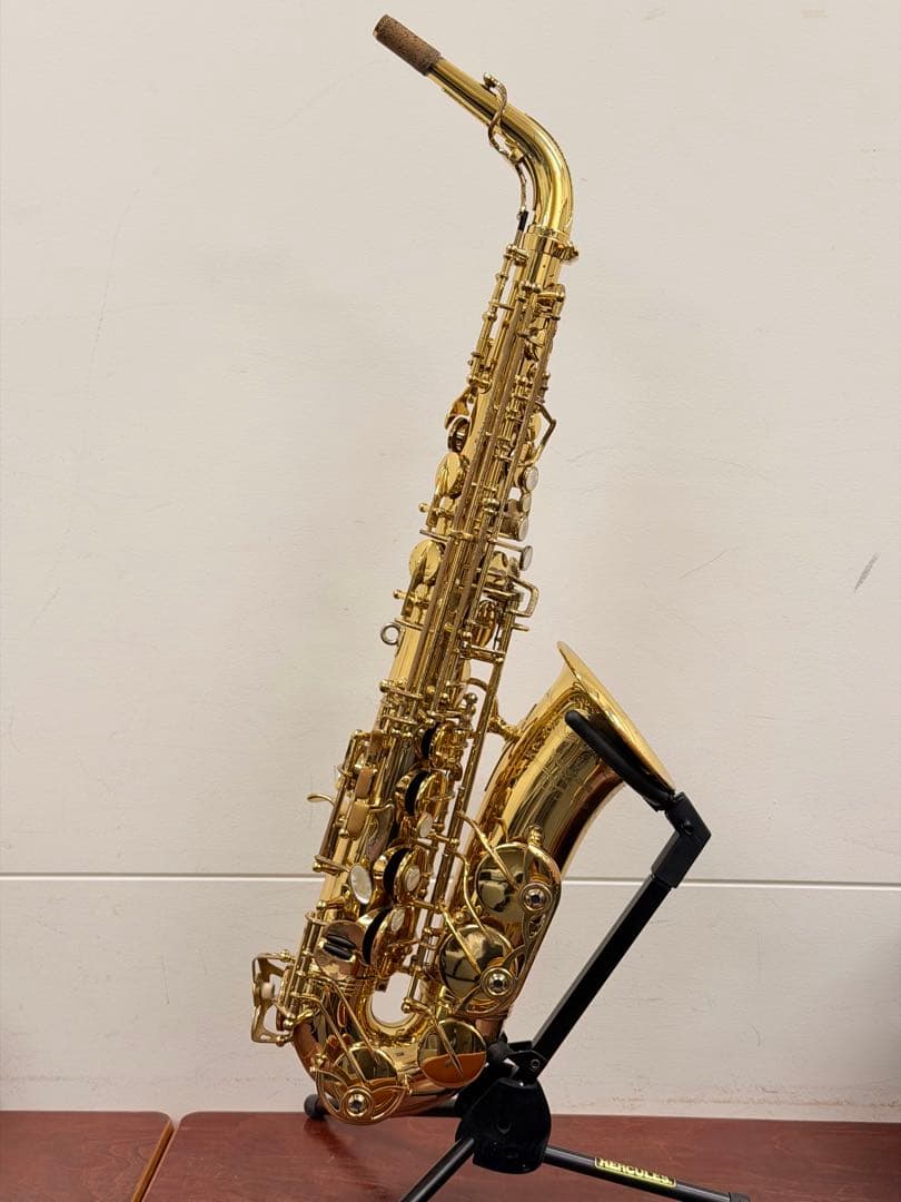 Yanagisawa ヤナギサワ A-WO10 アルトサックス
