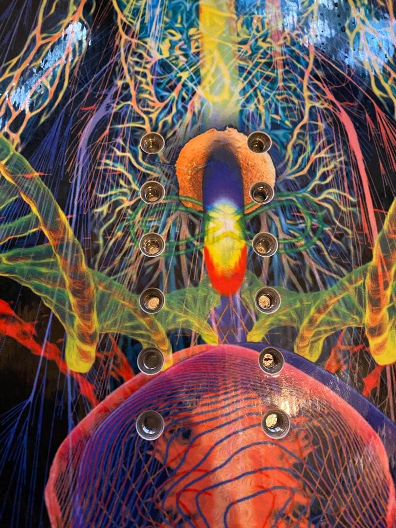 スノーボード Lib tech T.Rice pro 155cm