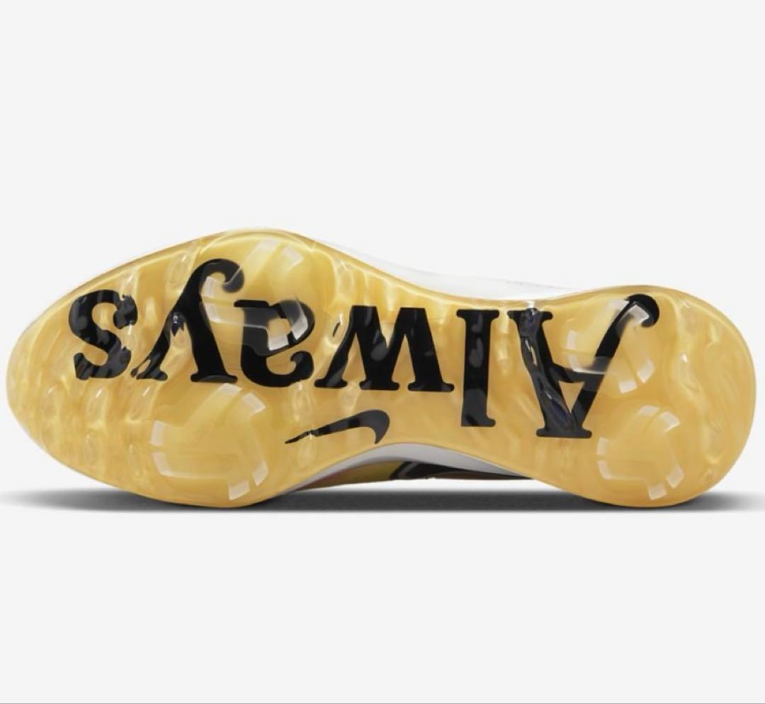 NIKE AIR ZM INFNTY TR NXT％ NRG W M23