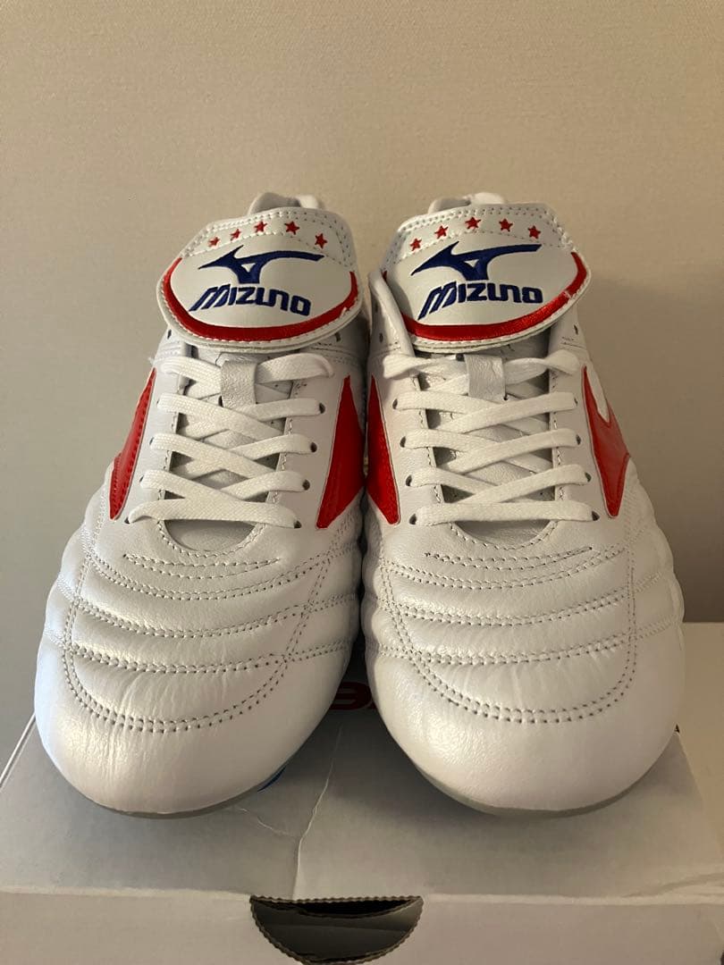 カーズさん専用Mizuno Wave Cup SS Japan 27.0