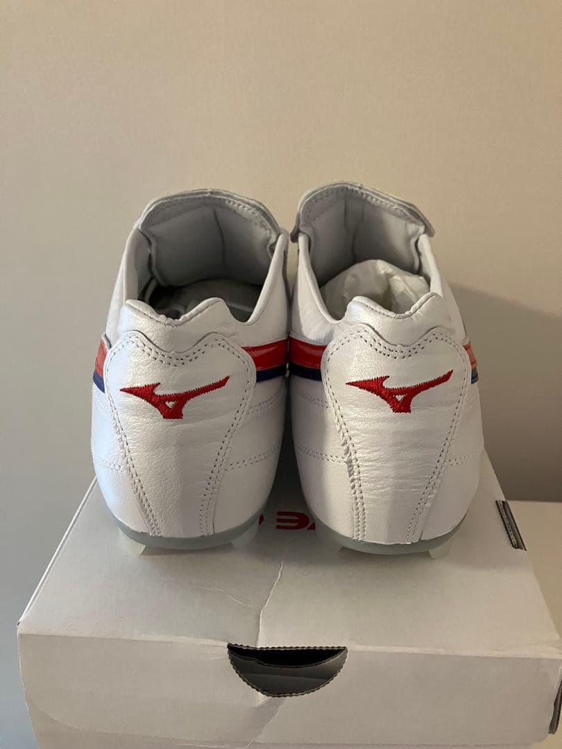 カーズさん専用Mizuno Wave Cup SS Japan 27.0