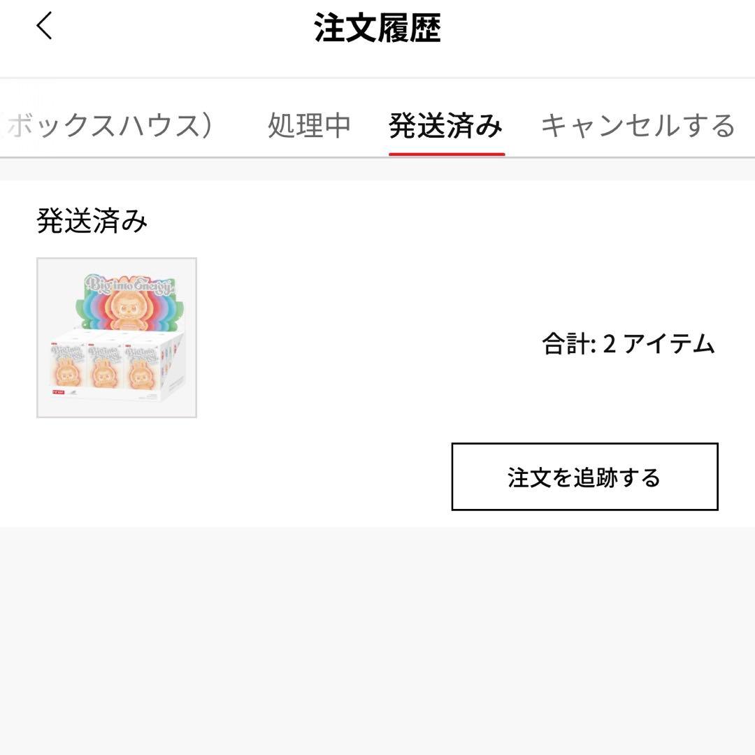 Big into Energy アソート ラブブ　2BOX【正規品】