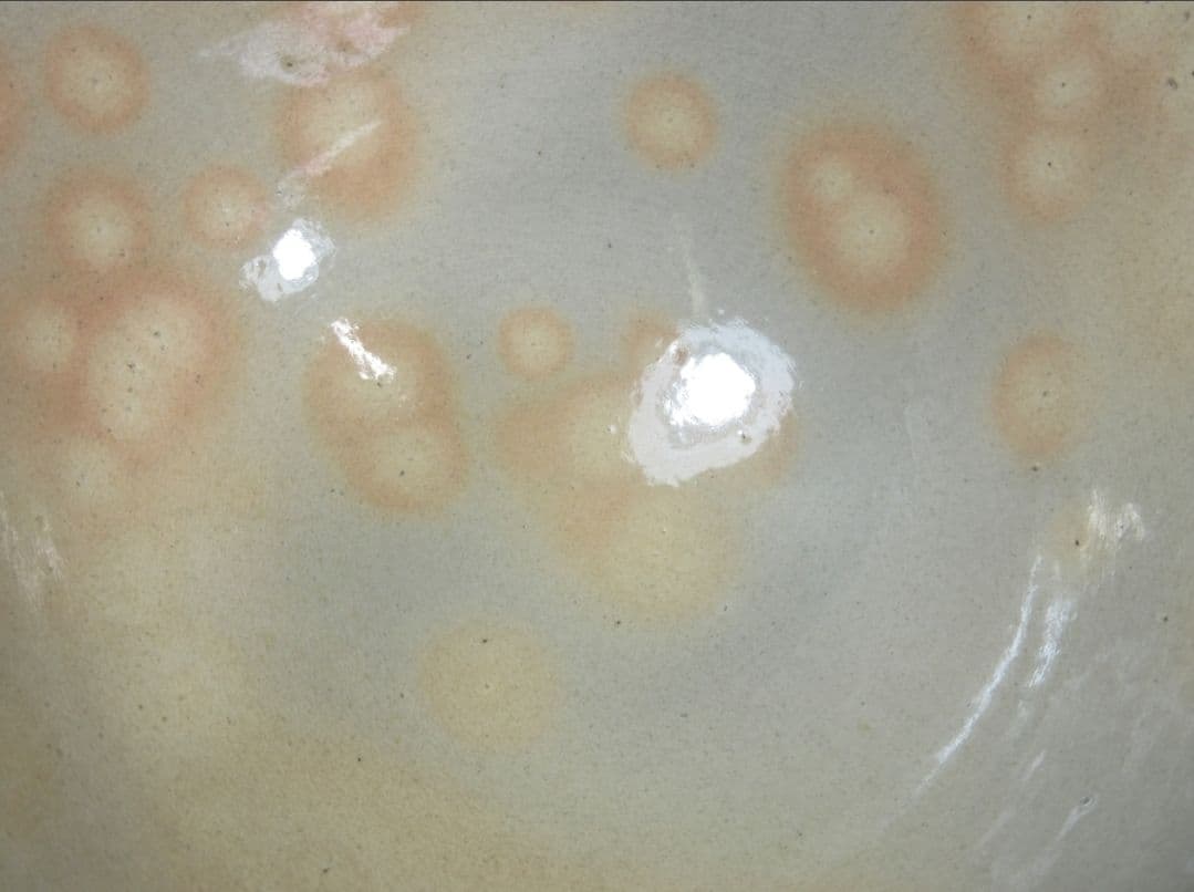 真作保証 15代 坂倉新兵衛 自作 久田宗也 (尋牛斎) 極箱 萩焼 山口県