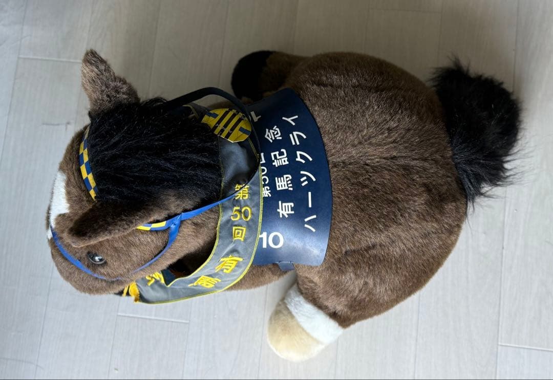 有馬記念　ハーツクライ　特大