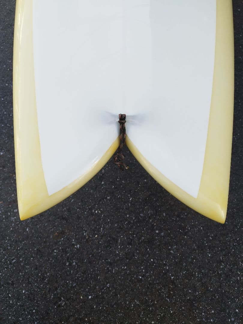 手渡し可　カツカワミナミ　プリモフィッシュ　ミッドレングス