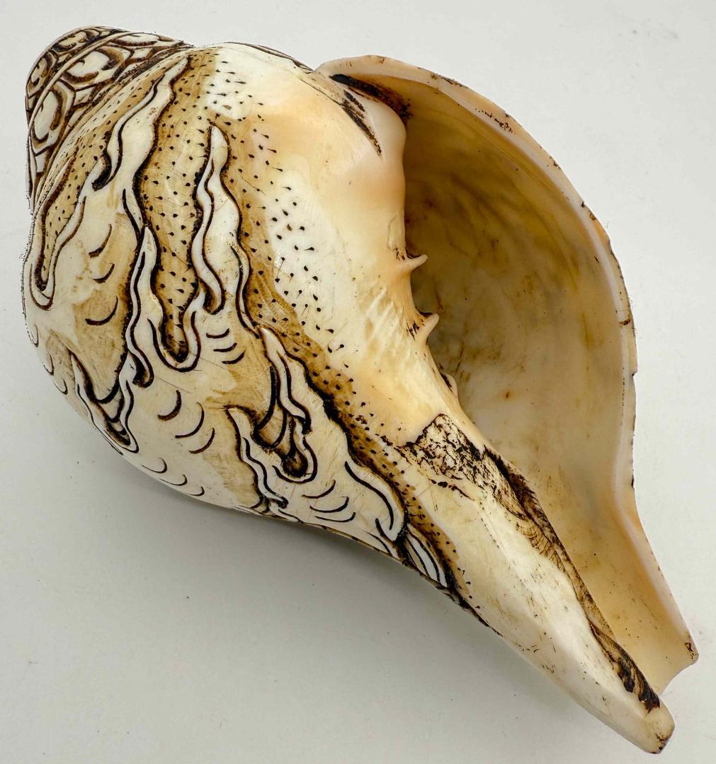 ◆チベット密教法具　法螺貝（シャンカ）チティパティ-3