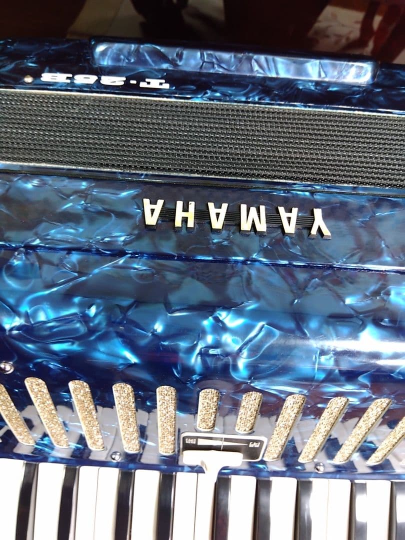 【可愛いレア品音出OK】YAMAHA T25B テナー（中音域）アコーディオン