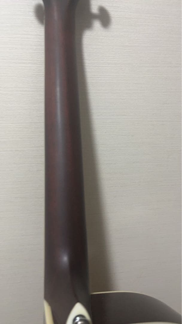 James J-350C BBT アコースティックギター セミハードケース付き