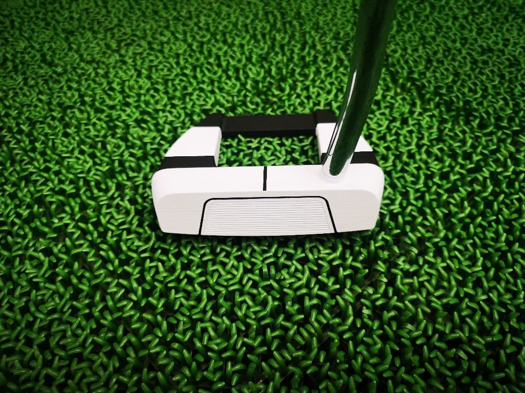 Ai-DUAL JAILBIRD MINI 34インチ