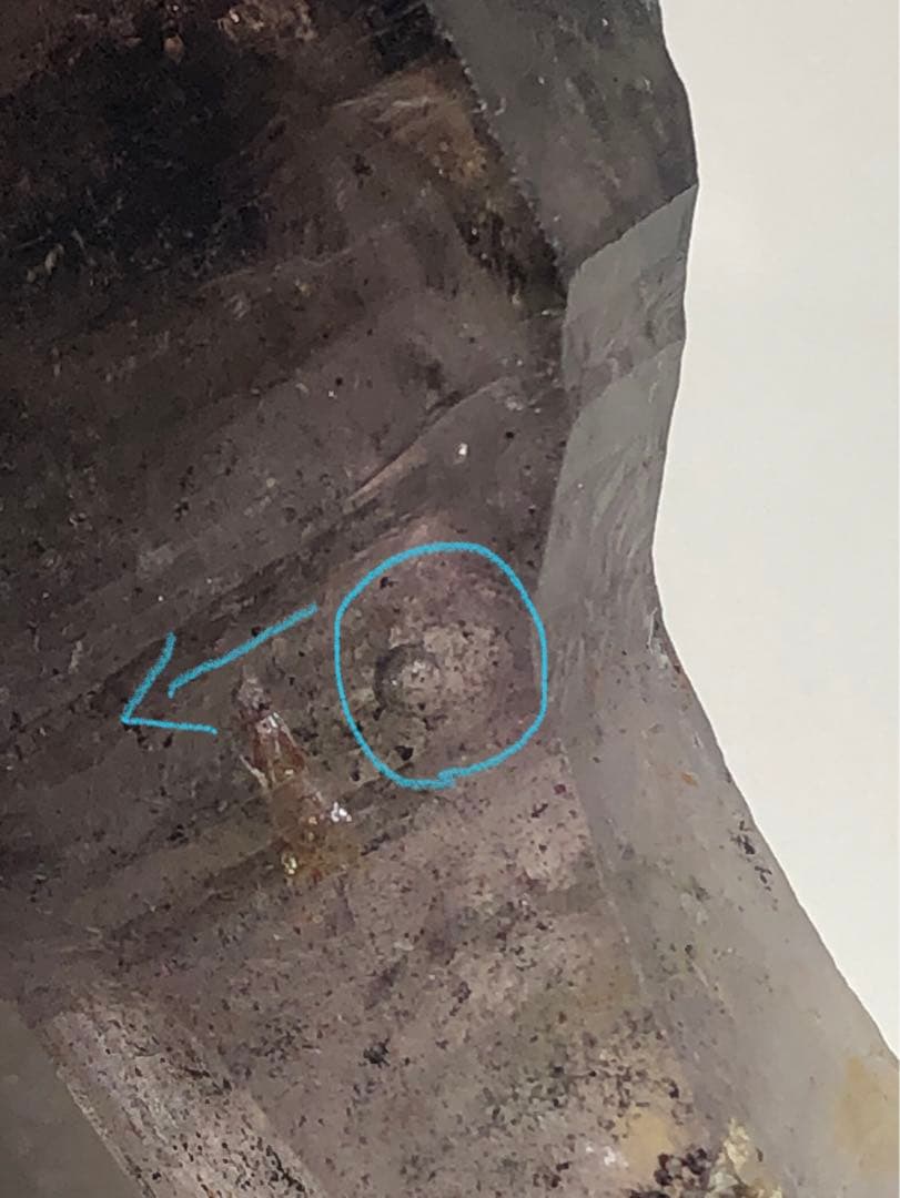 スーパーセブン　水入り　セプター