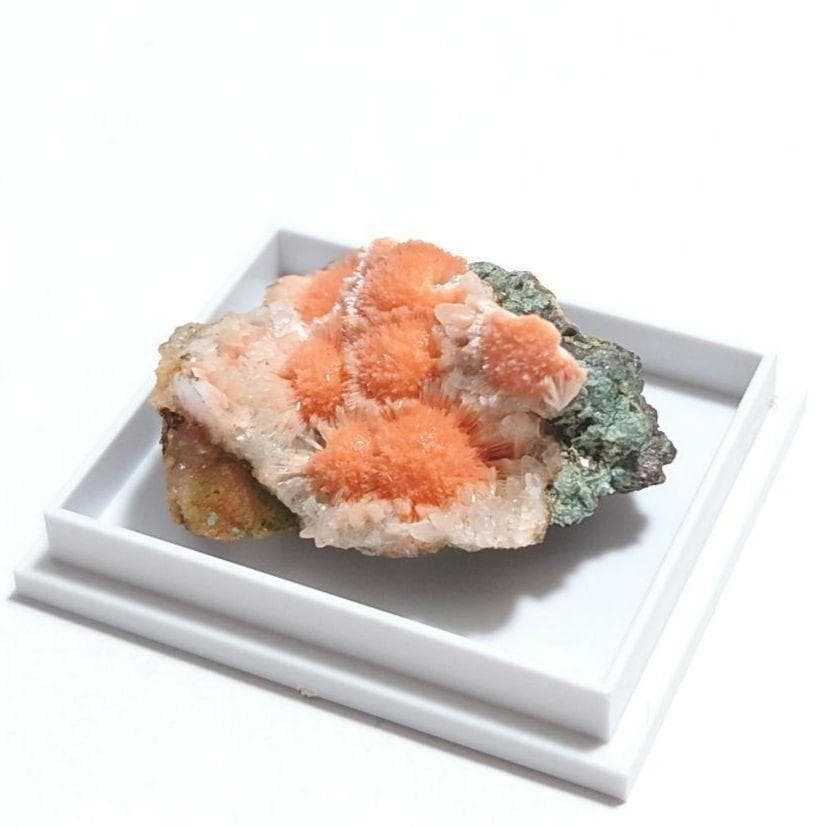 メソライト 2：カダクワニ（インド）