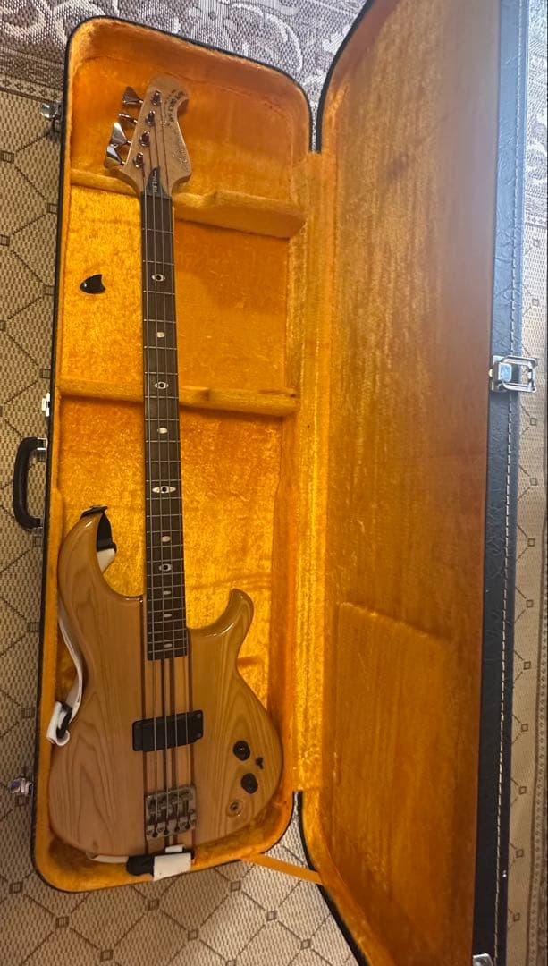 Aria Pro 2 Rsb 600 モデル