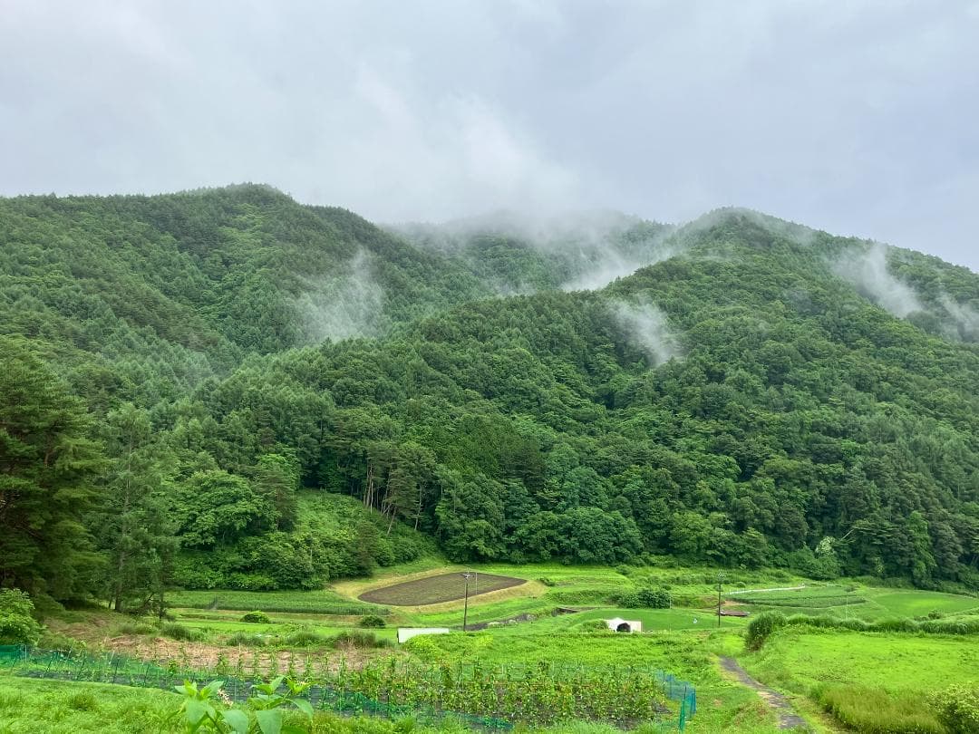 【令7新蜜】百花蜜 1000g 2本 長野県産 国産蜂蜜 生はちみつ 純粋蜂蜜