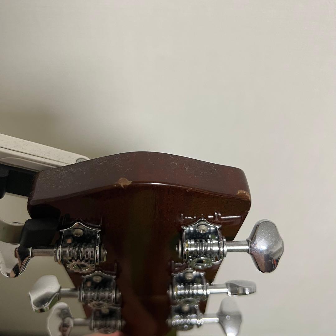 1月限定 HISTORY NT-L4 NATアコースティックギター　あいみょん