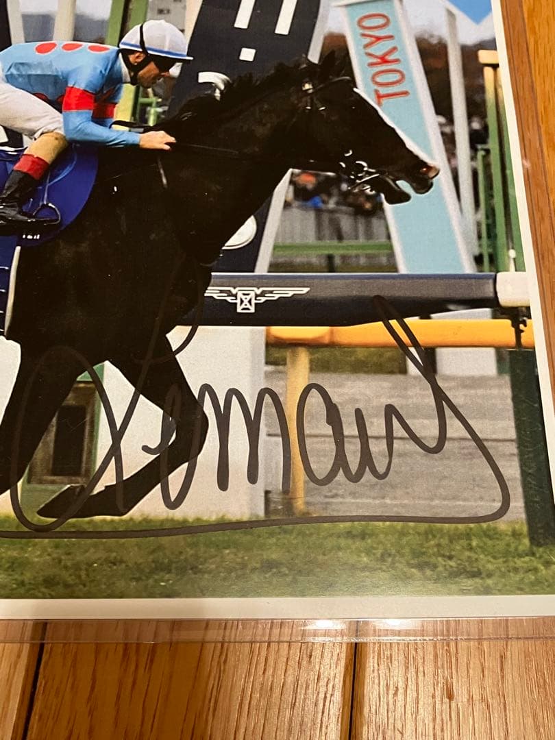 イクイノックス　鬣たてがみ2023ジャパンカップ　C・ルメール騎手直筆サイン入り