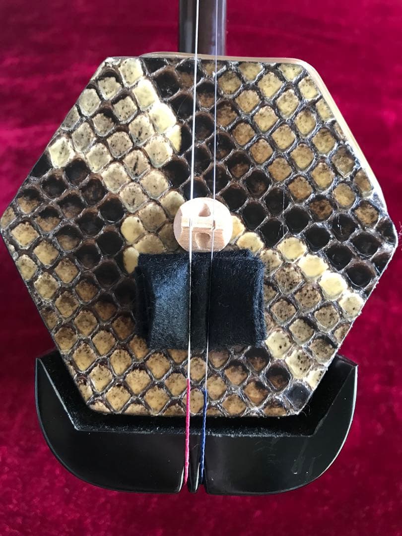 二胡★中古品★蛇本皮★音など確認済み★新品同然