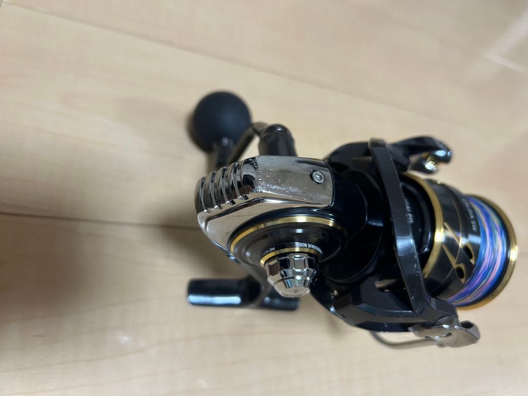 リール DAIWA CALDIA SW 6000D-H