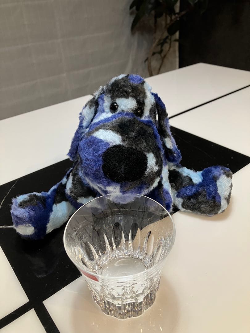 ★★ SONGです★★ 子犬のるーくL　カモフラマリン