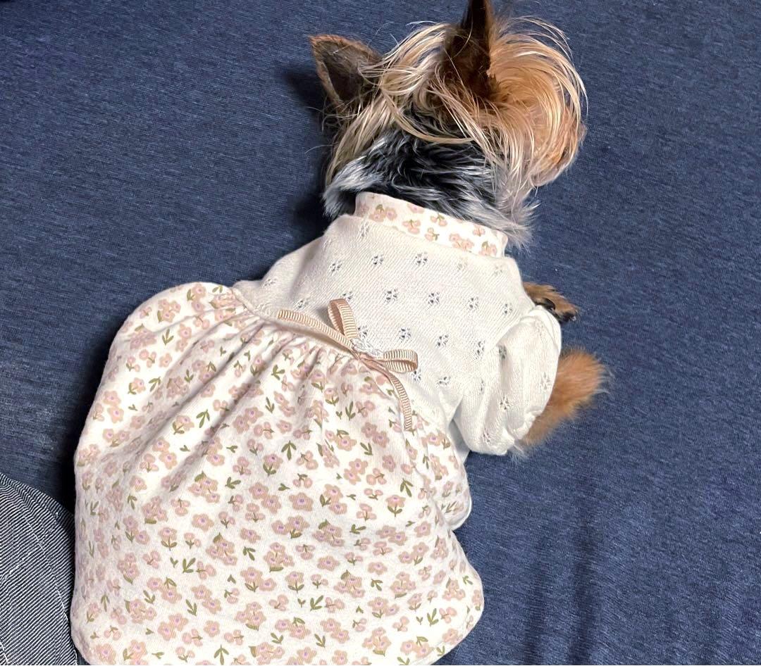 ハンドメイド犬服　ナチュラルカラーのパフスリーブワンピ★お袖変更可能