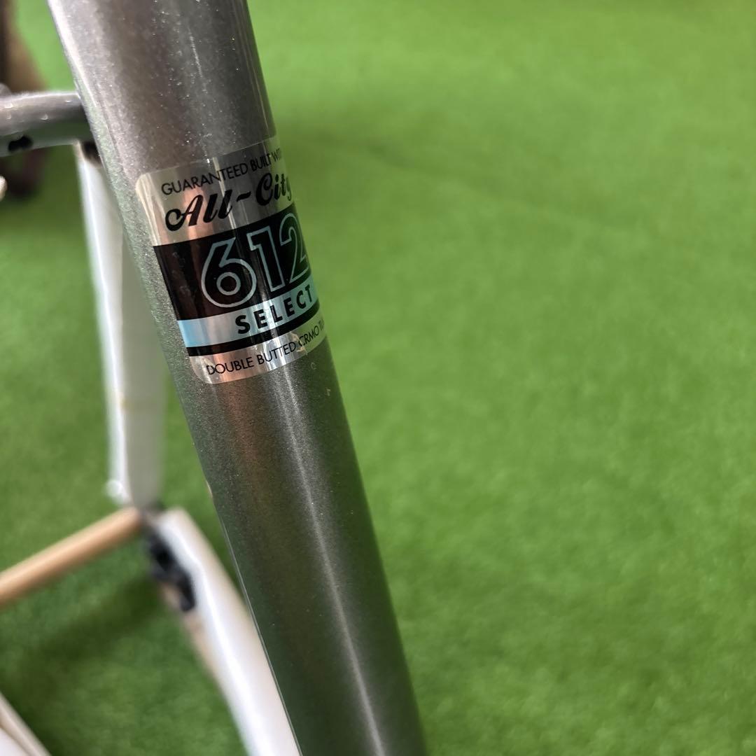 フレーム　オールシティ　スーパープロフェショナル【55サイズ】