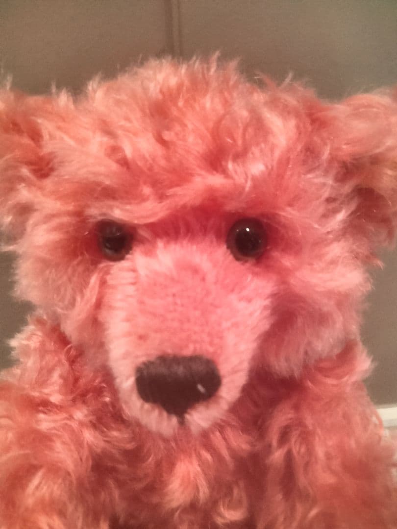 シュタイフ レッド ファジーテディベア ヴィンテージ イヤーボタンタグ