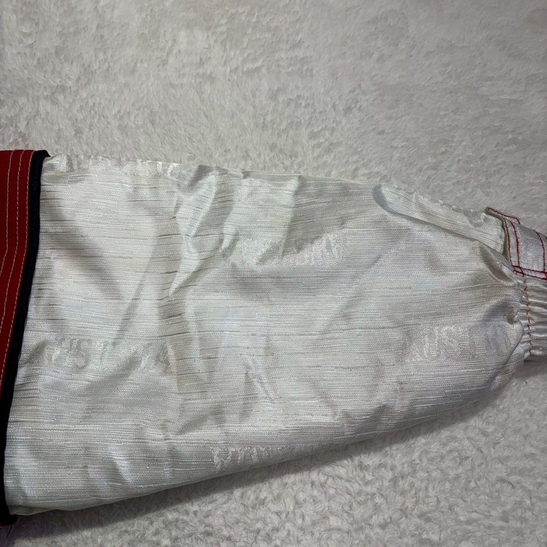 こいたろう　アシックス オーストリアモデル スキーウェア 上下 メンズ