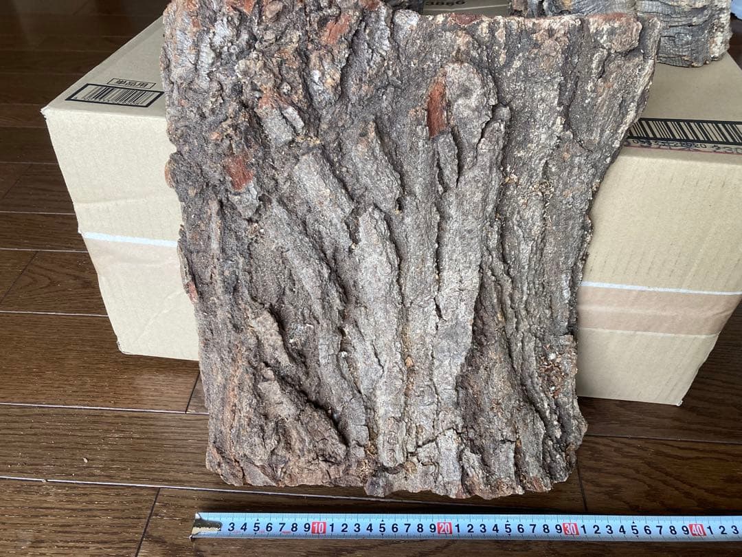 天然コルク樹皮2個とコナラ樹皮1個