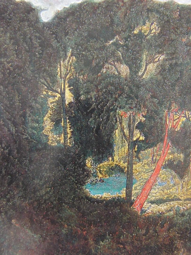 秋山泉、【樹間】、希少な額装用画集より、新品額装付、状態良好