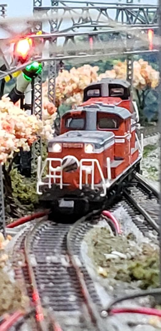 Tomix 2248 DD51-1000形九州仕様