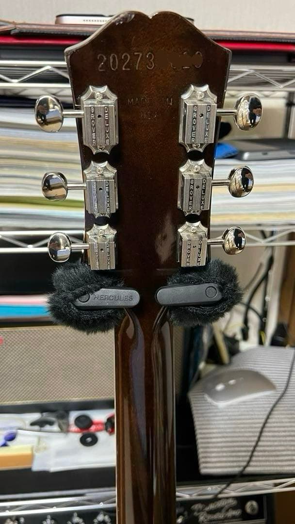 ギター Epiphone USA Casino