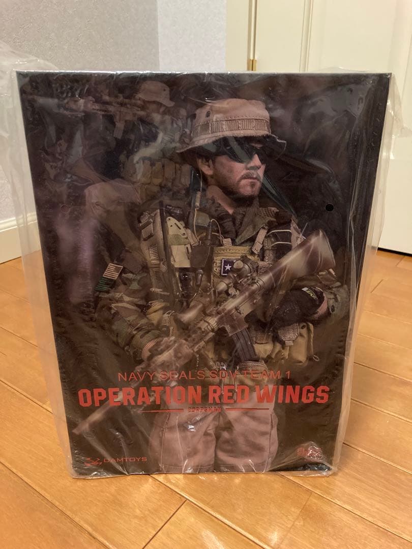 ネイビーシールズ SDVチーム1 - コーマン ”レッド・ウィング作戦”