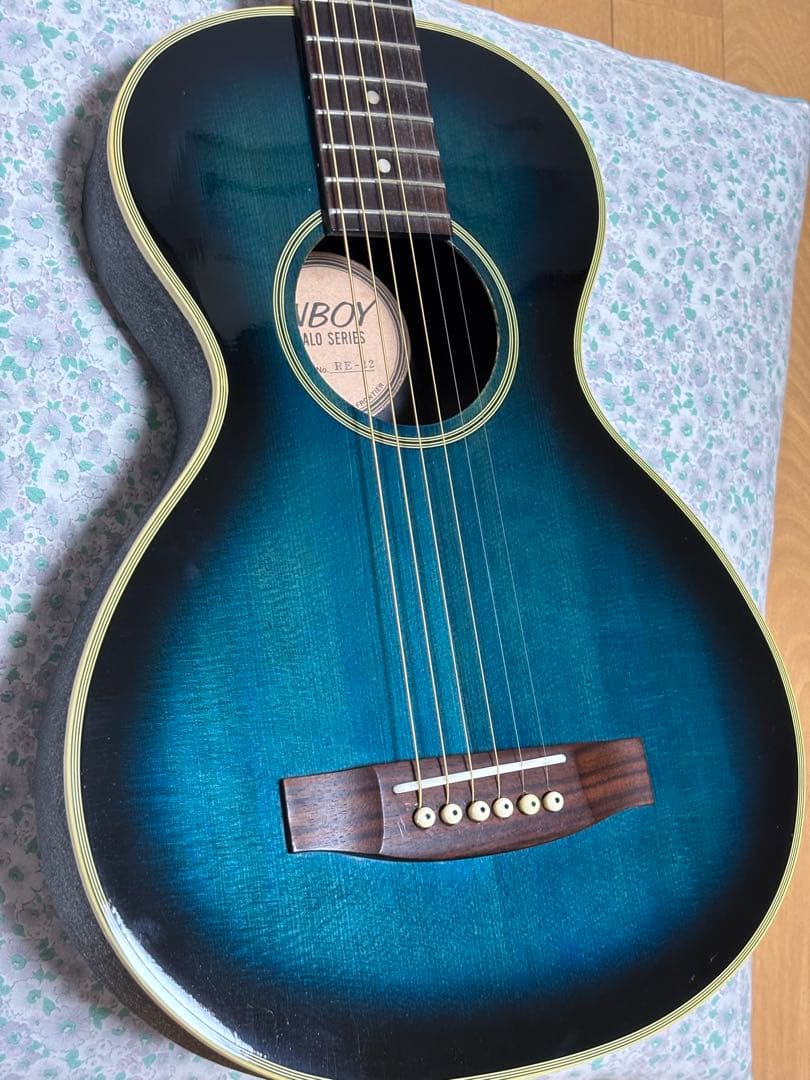 程度上々！ANBOY REGALO SERIES RE-22 フジゲン　調整済❗️