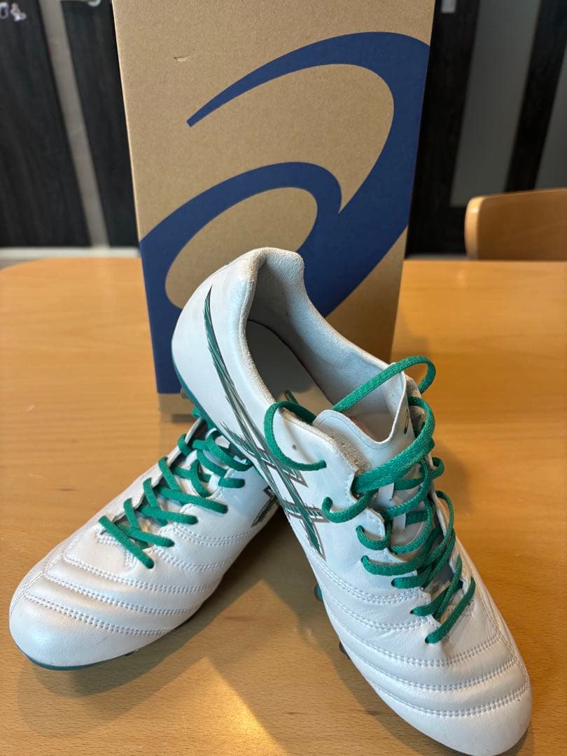 アシックス　DS LIGHT X-FLY PRO 3 26センチ