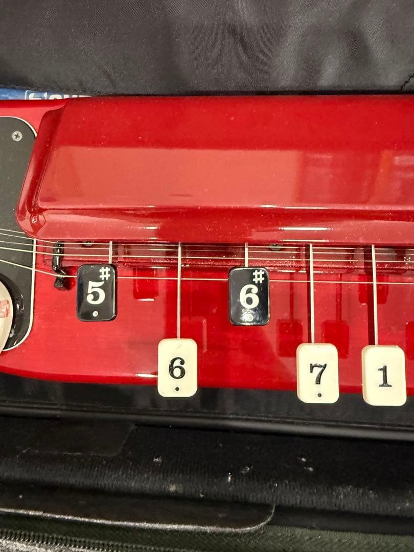 ★希少美品★ SUZUKI 電気大正琴 蘭シリーズ ケース付 通電確認済み