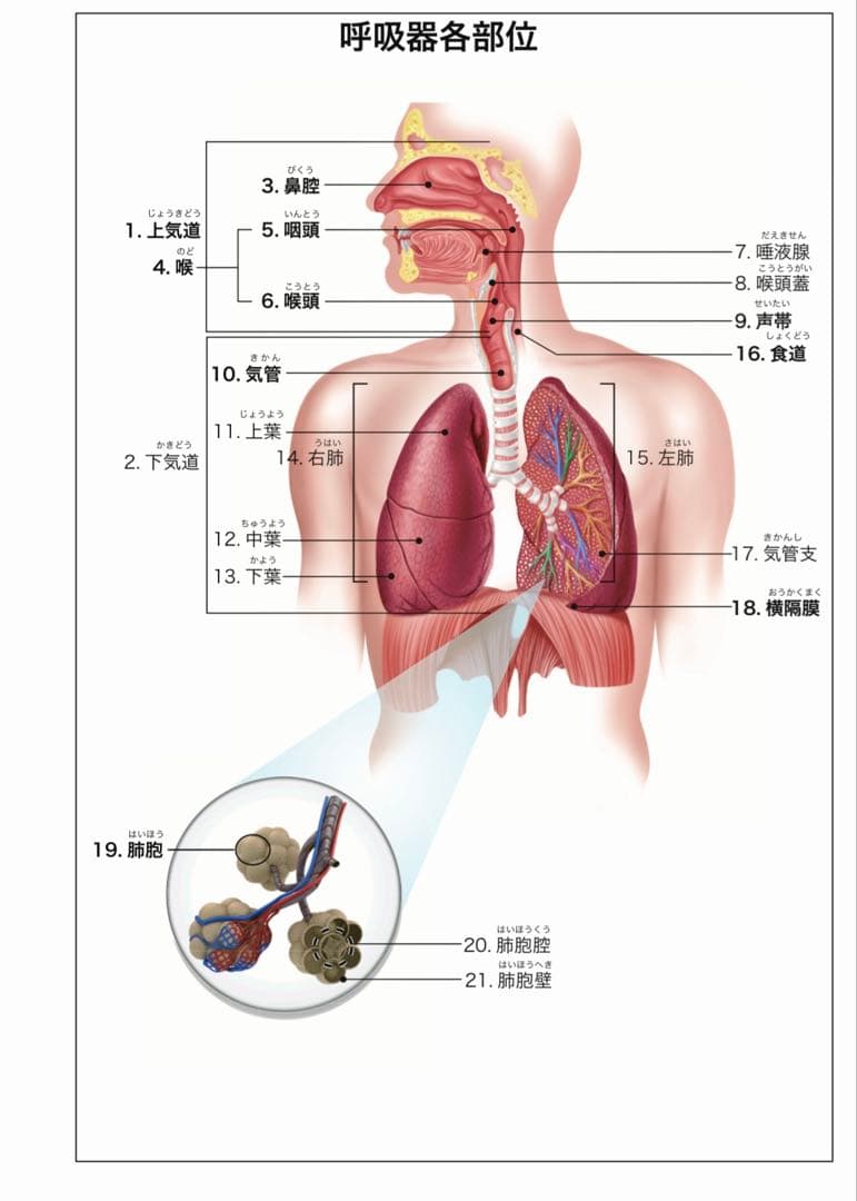 ハイパワーマグマ 110ml 15%液