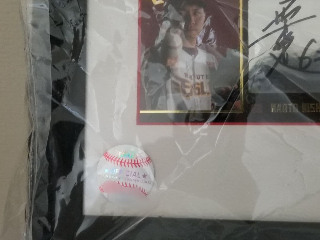 2017ルーキー　直筆サインカードセット