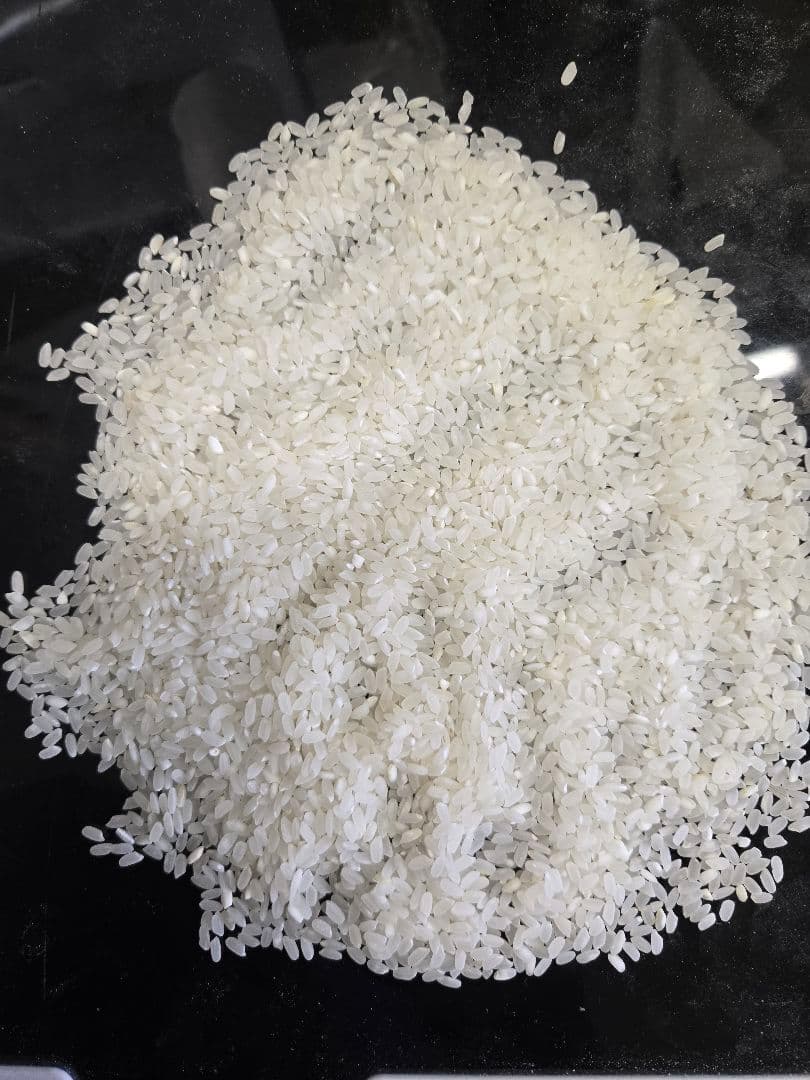 専用　アメリカ産 カルローズ米 30kg(10kg×3袋)