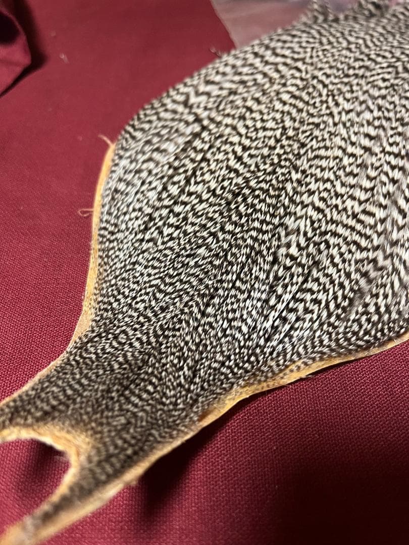 フライマテリアル用 羽毛 黒白ストライプ