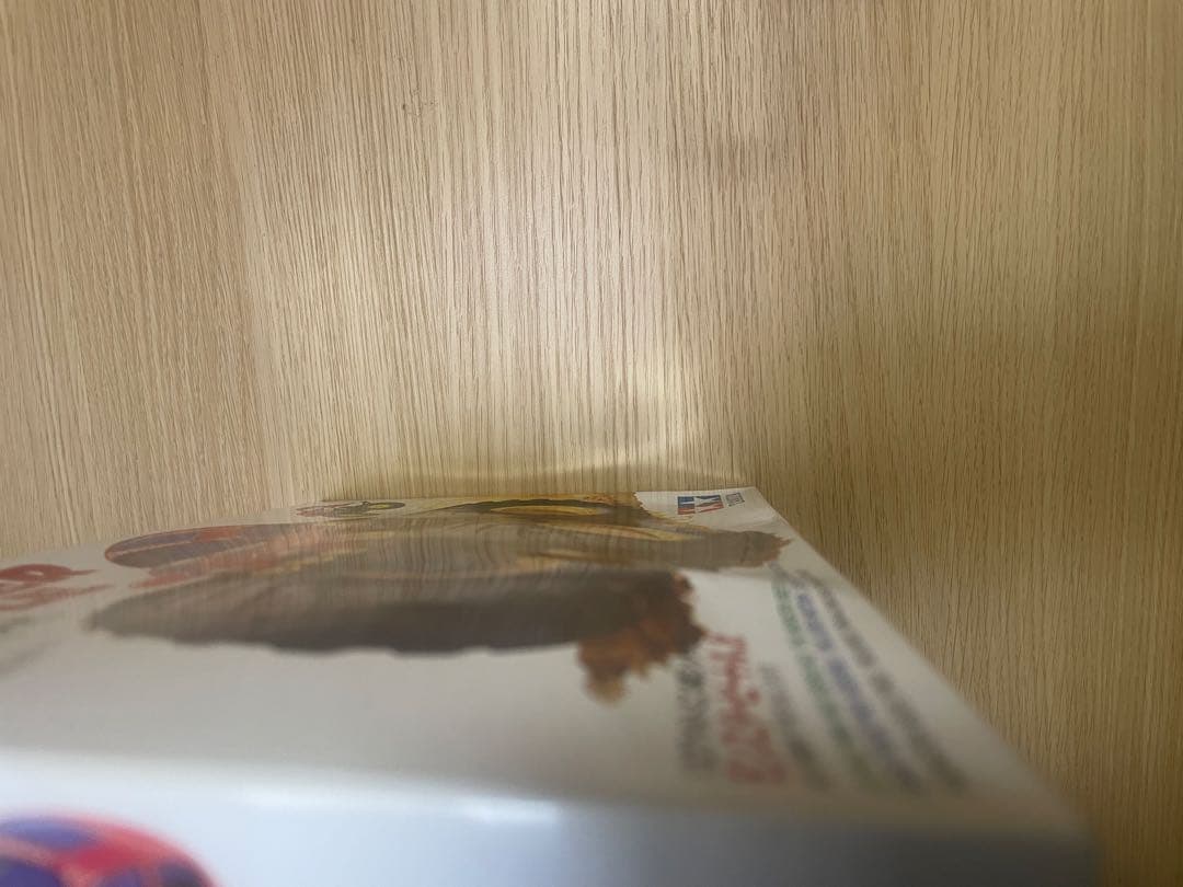 ワイルドミニ四駆　モンスタービートルJr 17001