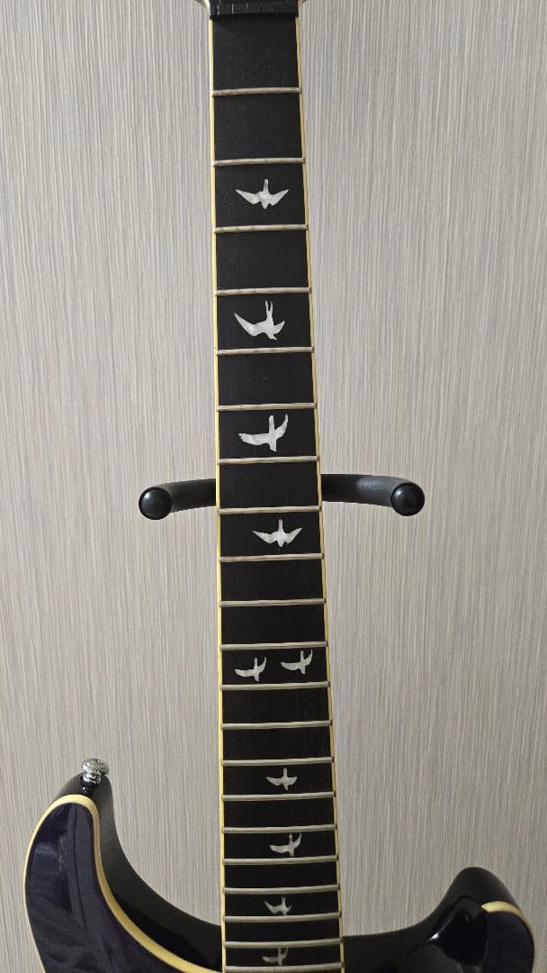 ギター [CAP]PRS SE Custom24 30th Anniversary