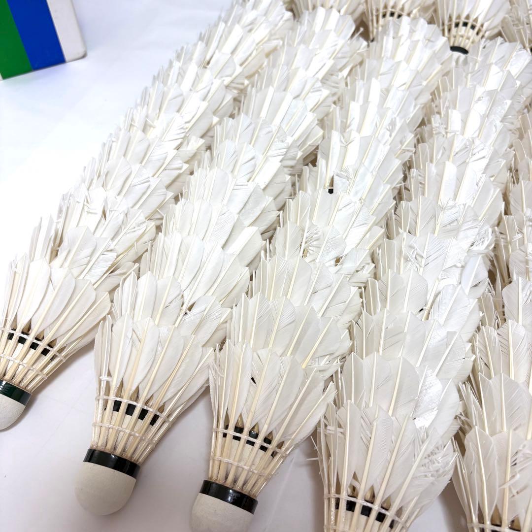 YONEX OFFICIAL F-70 4番　238球