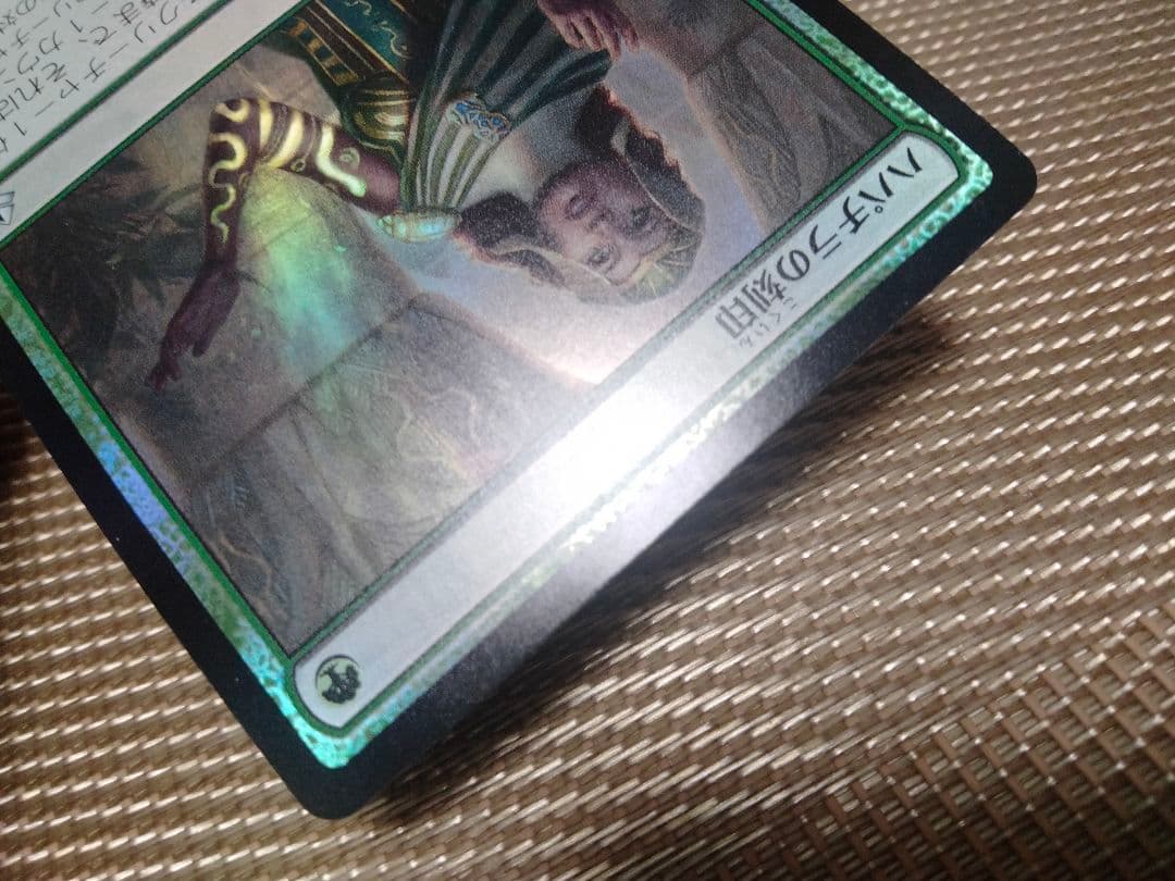 アモンケット foil ハパチラの刻印 日本語 1枚　MTG