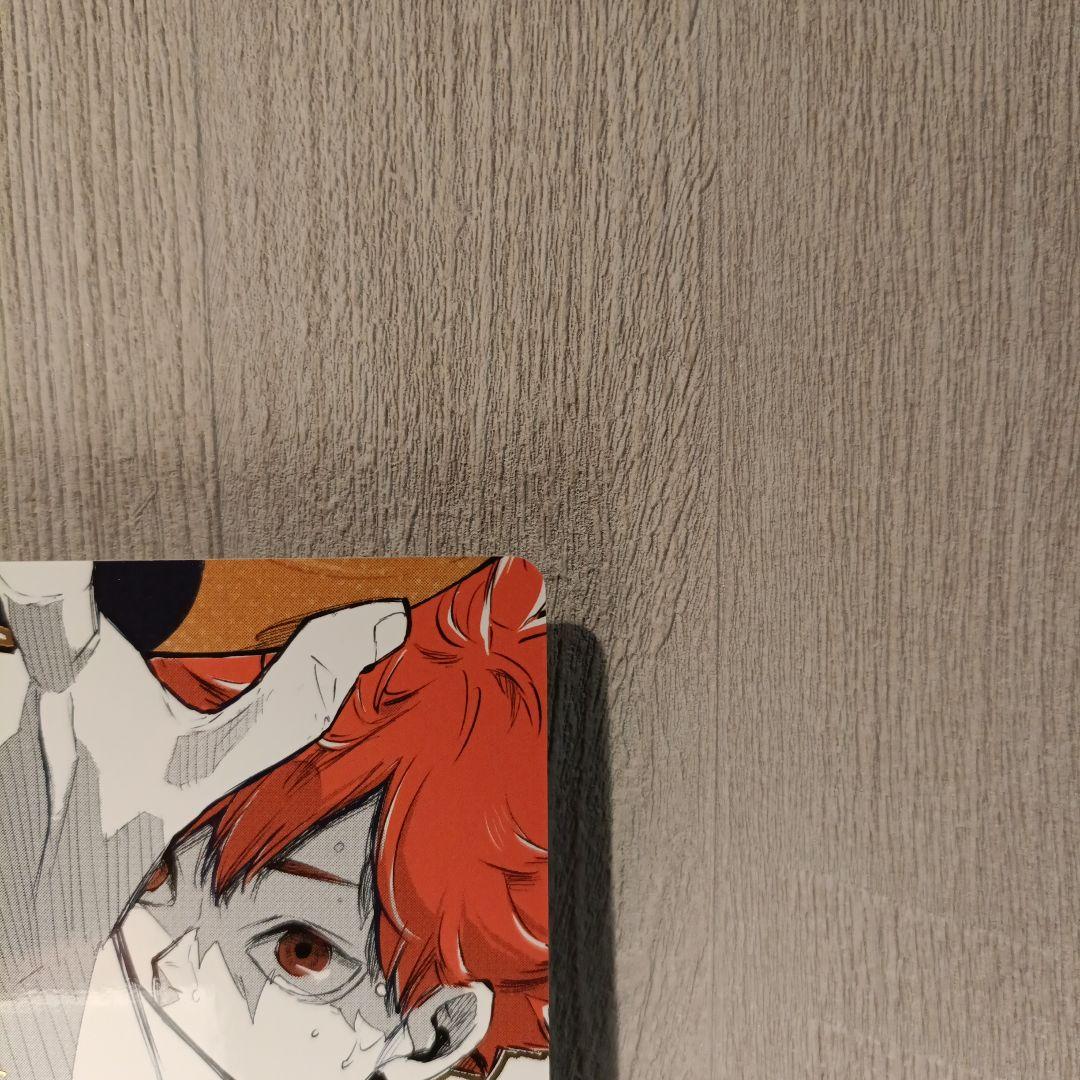 【ハイキュー!!】 バボカ!! BREAK 日向翔陽 シリアル 極P