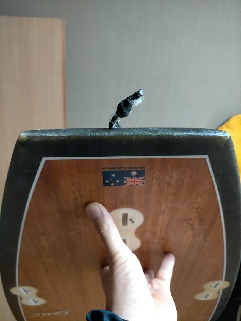 DMS FATCAT BambooFlex 6’0　名古屋北部　サーフボード