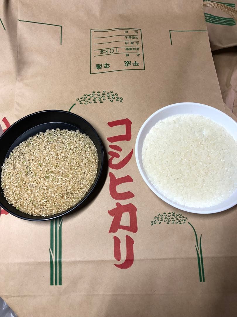 丹波産　コシヒカリ　特別栽培米　白米10キロ