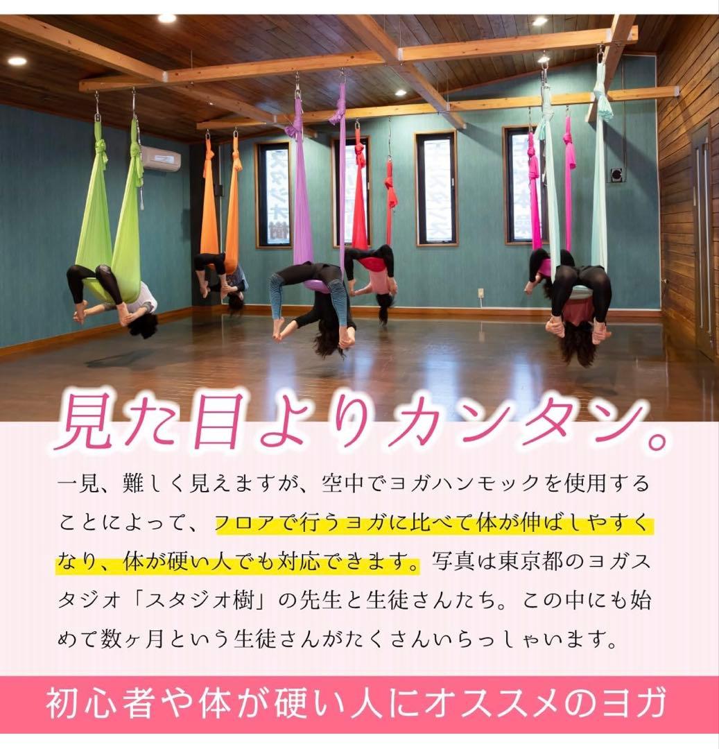 エアリアルヨガ 専用ハンモック 3点セットGIGANT 新品未開封品